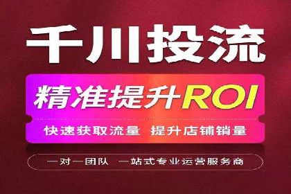 SEM服务优势案例分享